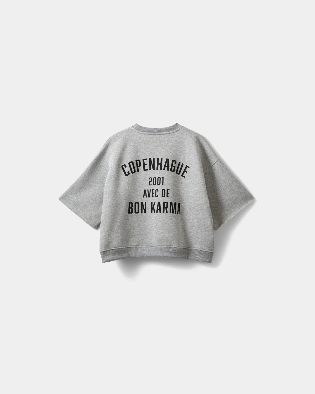 sofie-schnoor-eloisesw-s262375-sweatshirt-damen-grey-melange image 6